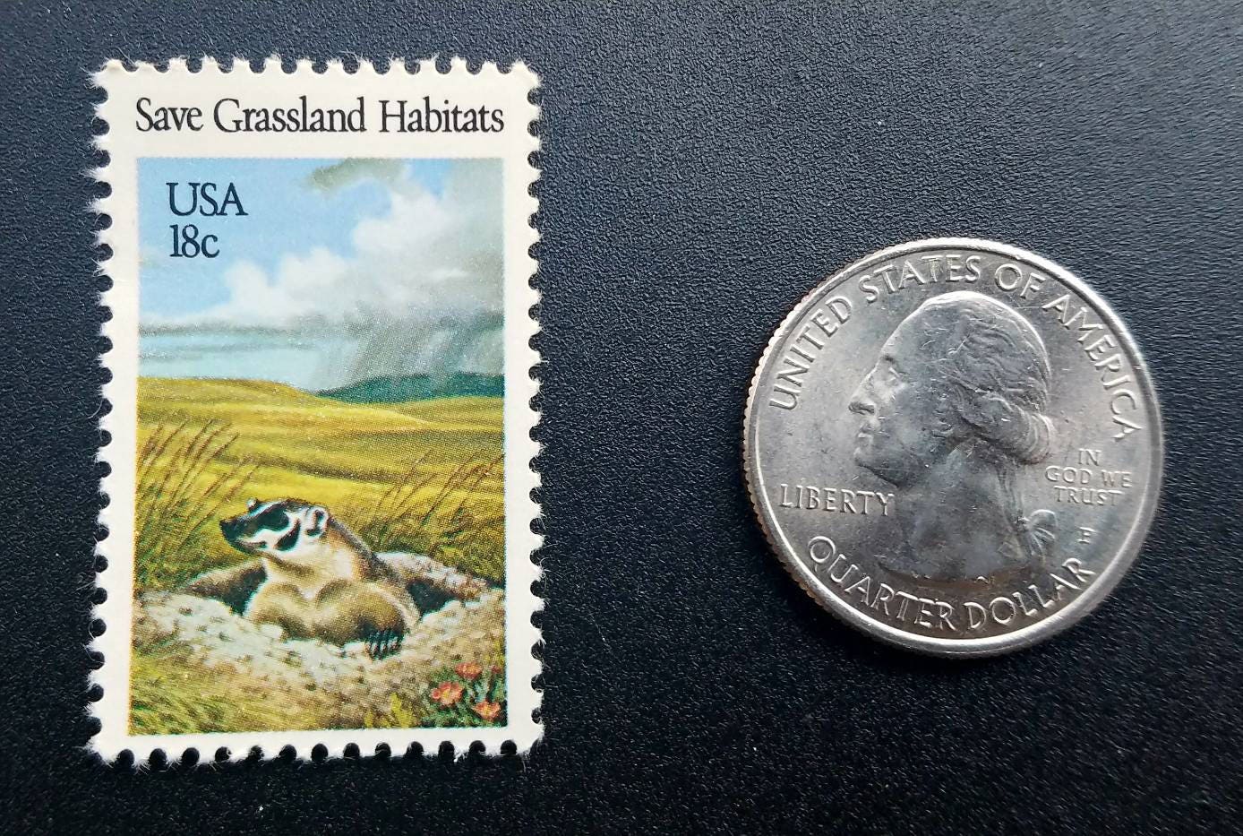 Five (5) vintage unused postage stamps - Badger, Save Grassland Habitats // 18 cent stamps // Face value 0.90 dollars