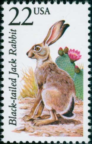 Five (5) vintage unused postage stamps - North American Wildlife, Black-tailed Jack rabbit // 22 cent stamps // Face value 1.10