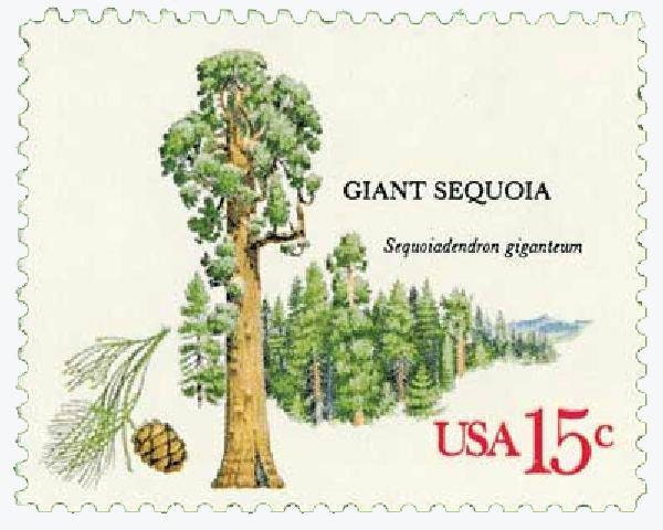 Five (5) vintage unused postage stamps - Trees: giant sequoia // 15 cent stamps // Face value 0.75