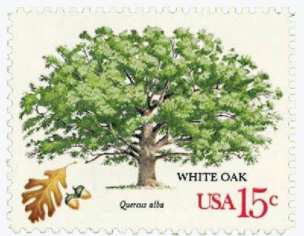 One (1) vintage unused postage stamps - Trees: white oak // 15 cent stamps