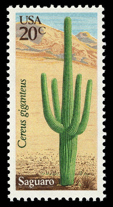 One (1) vintage unused postage stamps - Desert plants: saguaro // 20 cent stamps // Face value 0.20