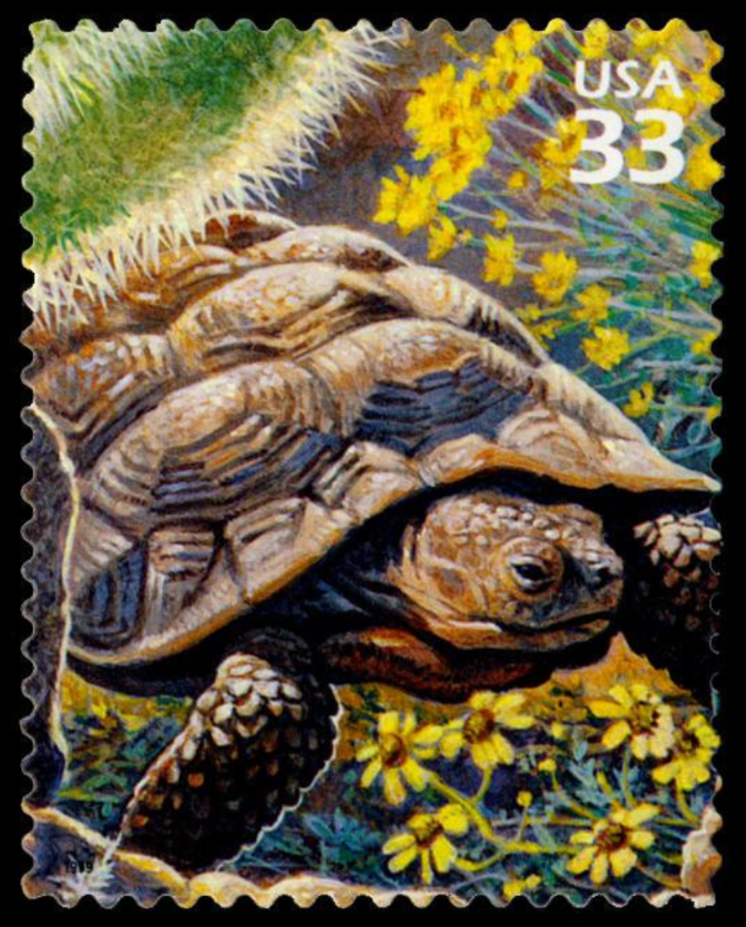 One (1) Desert Tortoise 33c stamp // Sonoran Desert (1st Nature of America sheet) // 33 cent vintage unused postage stamp