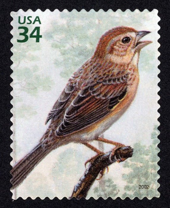 One 1 Bachman's Sparrow 34c stamp // Longleaf Pine Forest (4th Nature of America sheet) // 34 cent stamp