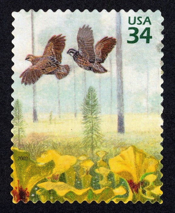 One 1 Norther Bobwhite and Yellow Pitcher Plants 34c stamp // Longleaf Pine Forest (4th Nature of America sheet) // 34 cent stamp