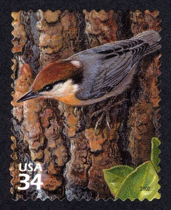 One 1 Brown-headed Nuthatch 34c stamp // Longleaf Pine Forest (4th Nature of America sheet) // 34 cent stamp