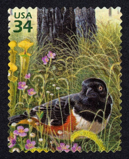 One (1) Eastern Towhee 34c stamp // Longleaf Pine Forest (4th Nature of America sheet) // 34 cent stamp