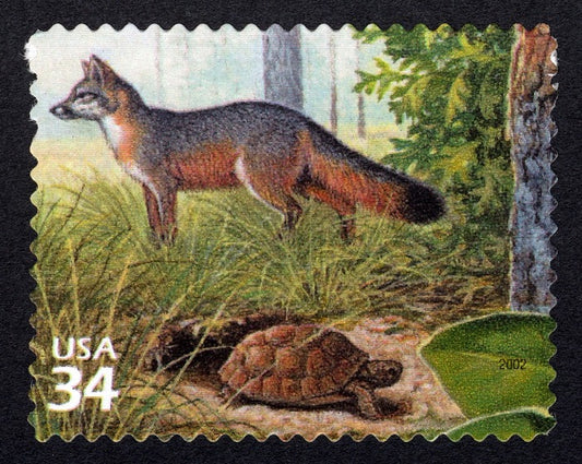 One (1) Gray Fox and Gopher Tortoise 34c stamp // Longleaf Pine Forest (4th Nature of America sheet) // 34 cent stamp