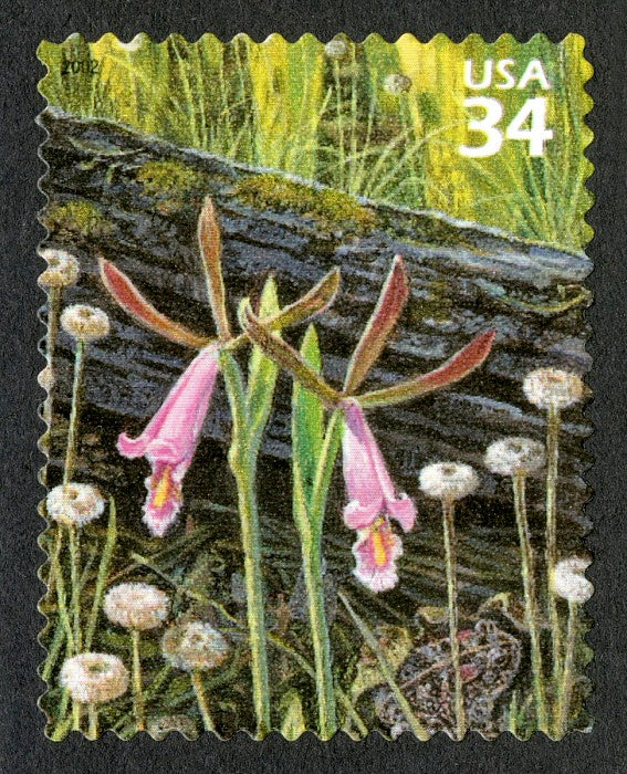 One 1 Rosebud Orchid, Pipeworts, Southern Toad 34c // Longleaf Pine Forest (4th Nature of America sheet) // 34 cent stamp