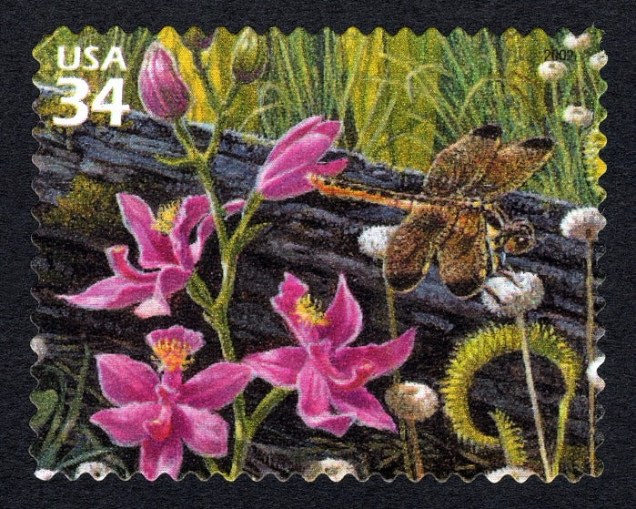 One (1) Grass-pink Orchid, Yellow-sided Skimmer, Pipeworts 34c stamp // Longleaf Pine Forest (4th Nature of America sheet) // 34 cent stamp