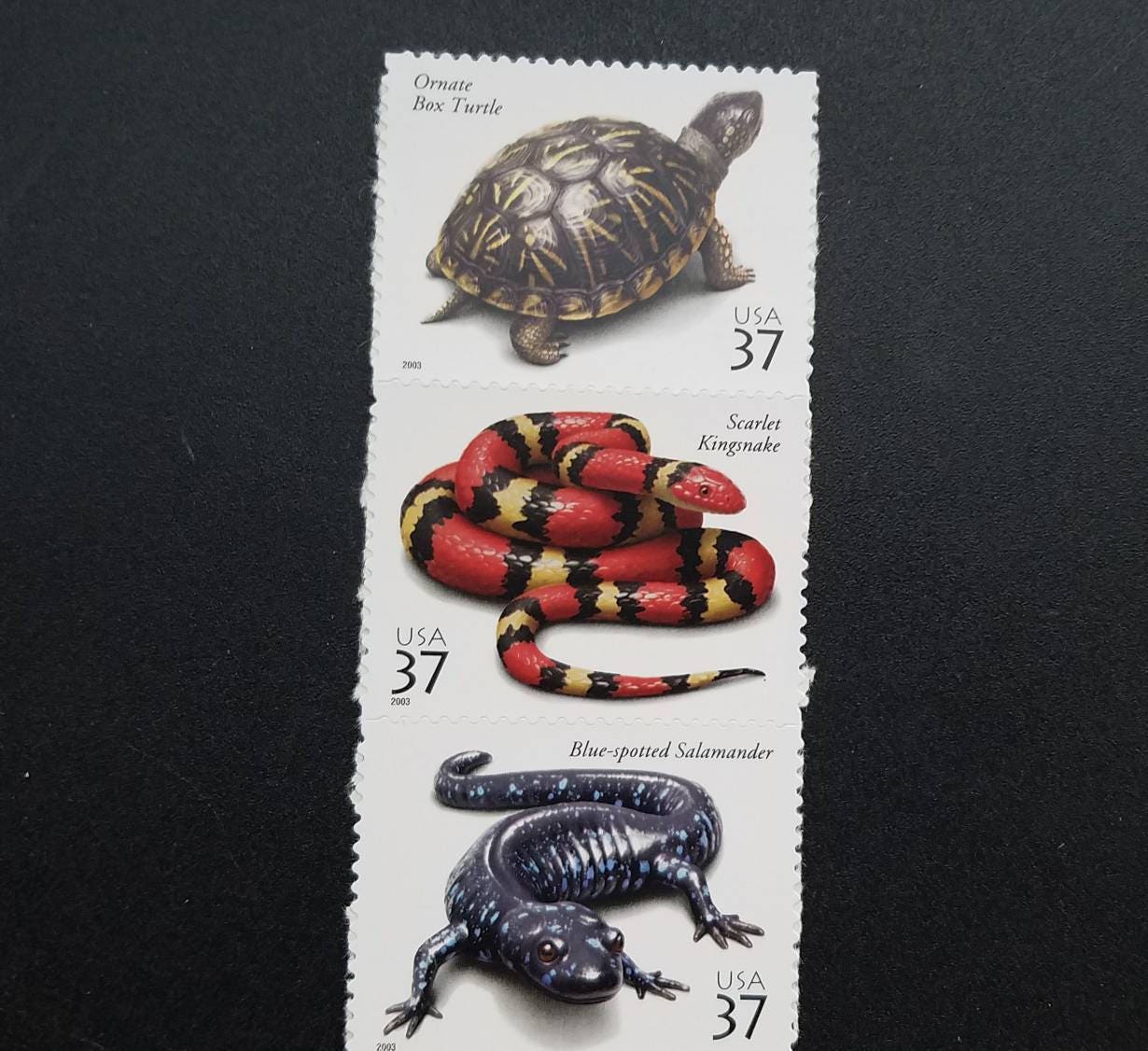 Five (5) unused US postage stamps - Amphibians and Reptiles // 37 cent stamps // face value 1.85