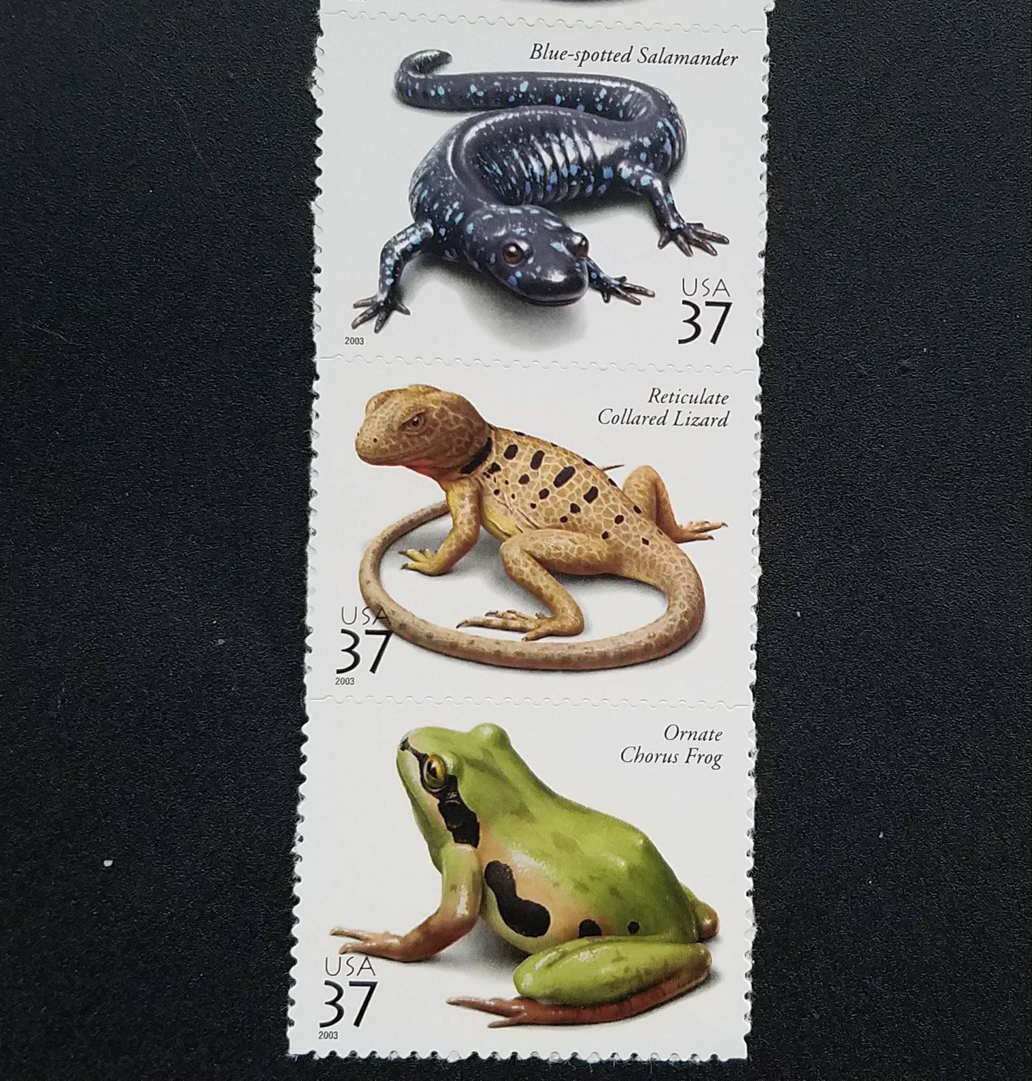 Five (5) unused US postage stamps - Amphibians and Reptiles // 37 cent stamps // face value 1.85