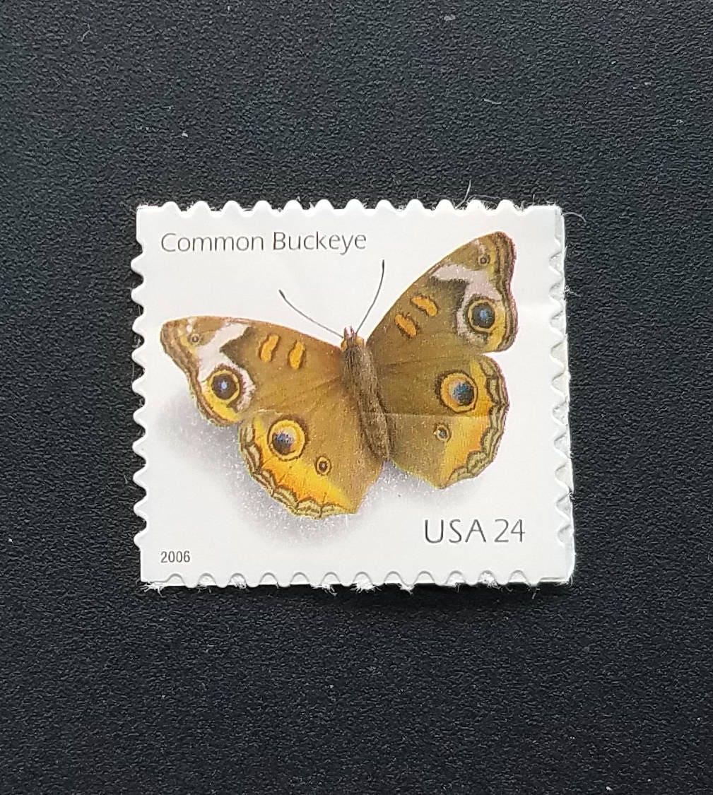 Five (5) vintage unused postage stamps - Common buckeye butterfly // 24 cent stamps // face value 1.20