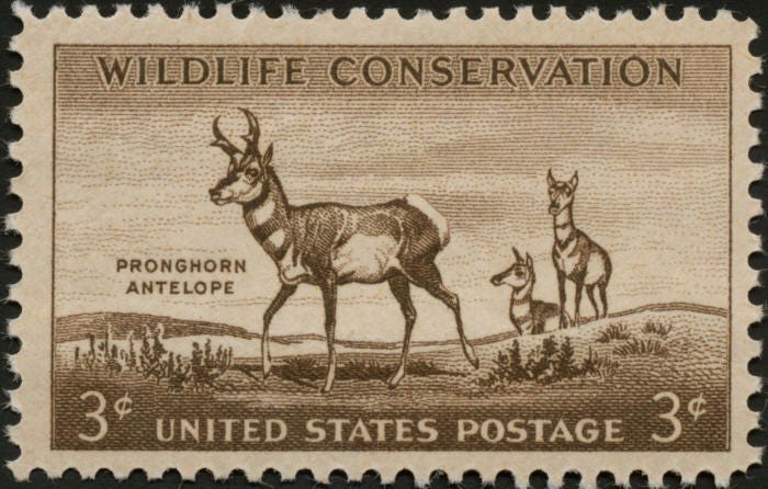 Five (5) vintage unused postage stamps - Pronghorn Antelope // 3 cent stamps