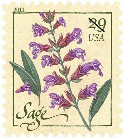 One (1) vintage unused postage stamps - Herbs: sage // 29 cent stamp