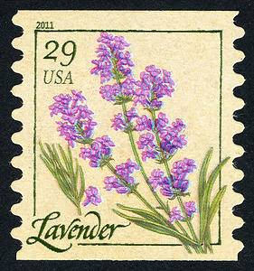 One (1) vintage unused postage stamps - Herbs: lavender // 29 cent stamp