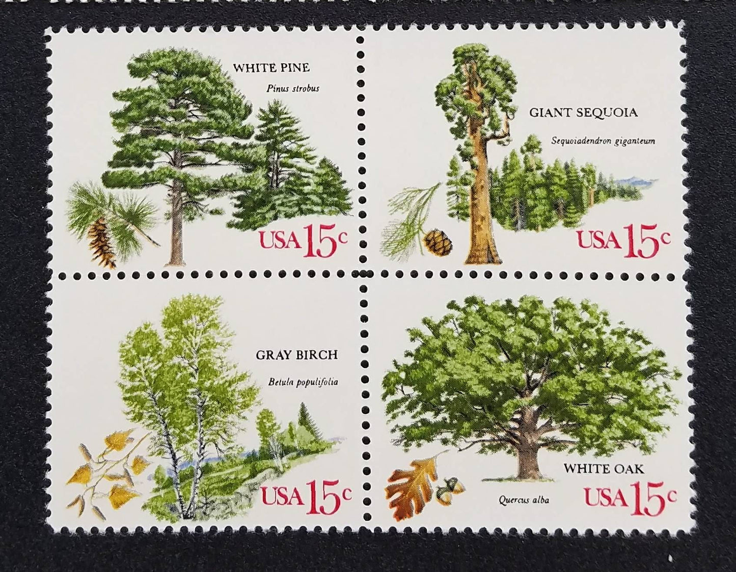 Four (4) vintage unused postage stamps - Trees // 15 cent stamps // Face value 0.60