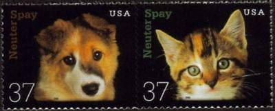 Four (4) unused US postage stamps - Kitten & puppy, spay neuter // 37 cent stamps // Face value 1.48