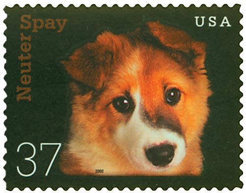 Four (4) unused US postage stamps - Kitten & puppy, spay neuter // 37 cent stamps // Face value 1.48