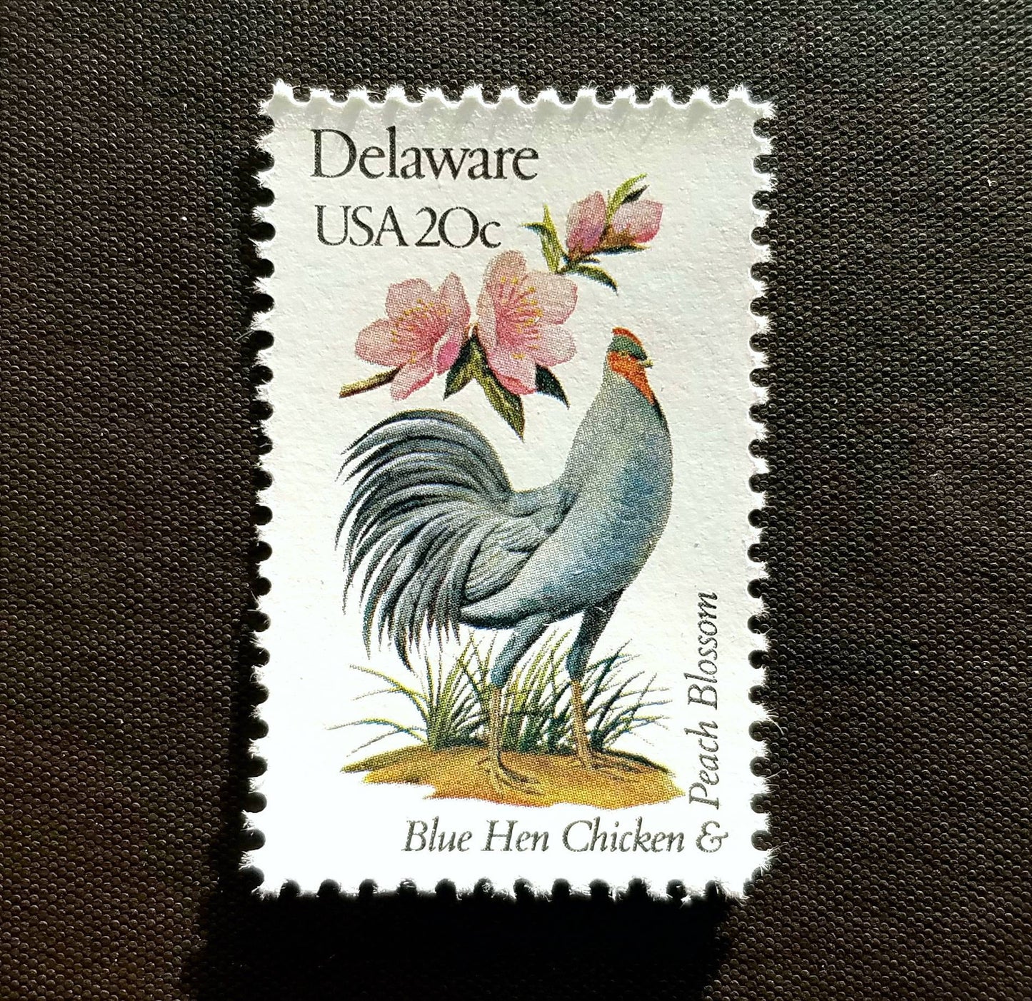 Five (5) vintage unused postage stamps - Delaware state bird and flower // 20 cent stamps // Face value 1.00