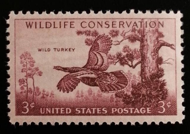 Five (5) vintage unused postage stamps - Wild turkey, wildlife conservation // 3 cent stamps