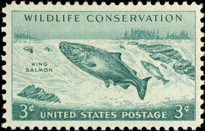 Five (5) vintage unused postage stamps - Wildlife conservation - king salmon // 3 cent stamps // Face value 0.15