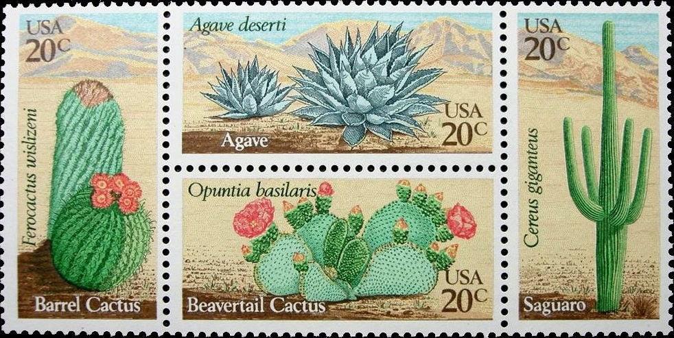 Four (4) vintage unused postage stamps - Desert plants, Cactus / cacti // cactuses // 20 cent stamps // Face value 0.80