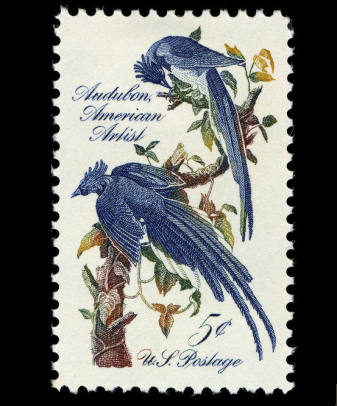 Five (5) vintage unused postage stamps - Audubon Columbian jays // 5 cent stamps // Face value 0.25