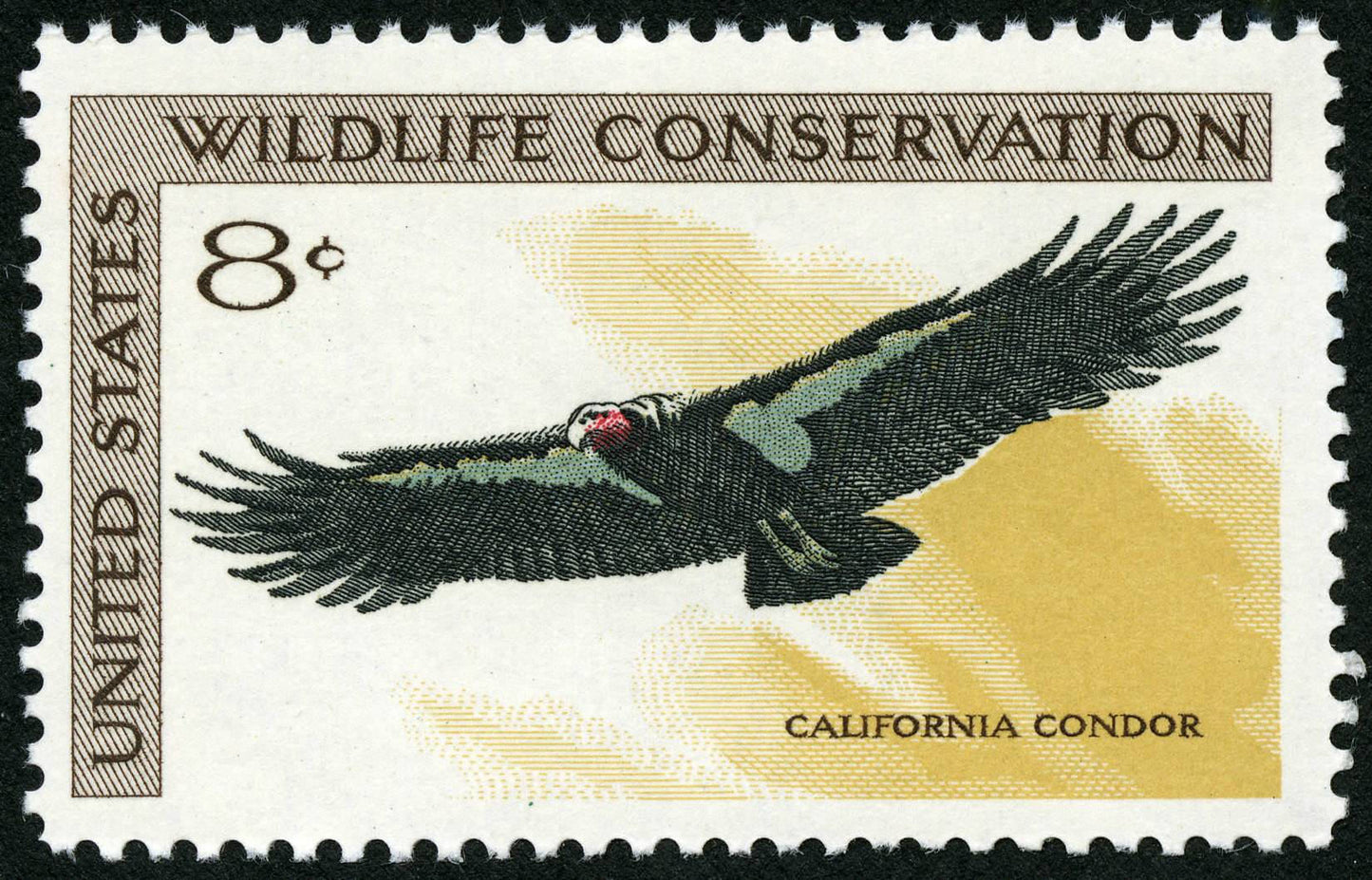 Five (5) vintage unused postage stamps - California condor, wildlife conservation // 8 cent stamps // Face value 0.40