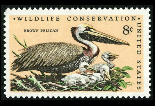 Five (5) vintage unused postage stamps - Brown pelican, wildlife conservation // 8 cent stamps // Face value 0.40