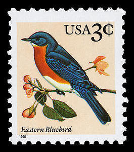 Five (5) vintage unused postage stamps - Eastern Bluebird // 3 cent stamps // face value 0.15