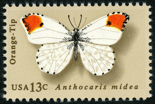 Five (5) vintage unused postage stamps - Butterflies: orange-tip // 13 cent stamps // Face value 0.65