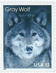 Five (5) unused postage stamps - Grey wolf // 33 cent stamps // Face value 1.65