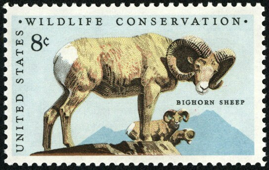 Five (5) vintage unused postage stamps - Bighorn sheep, wildlife conservation // 8 cent stamps // Face value 0.40