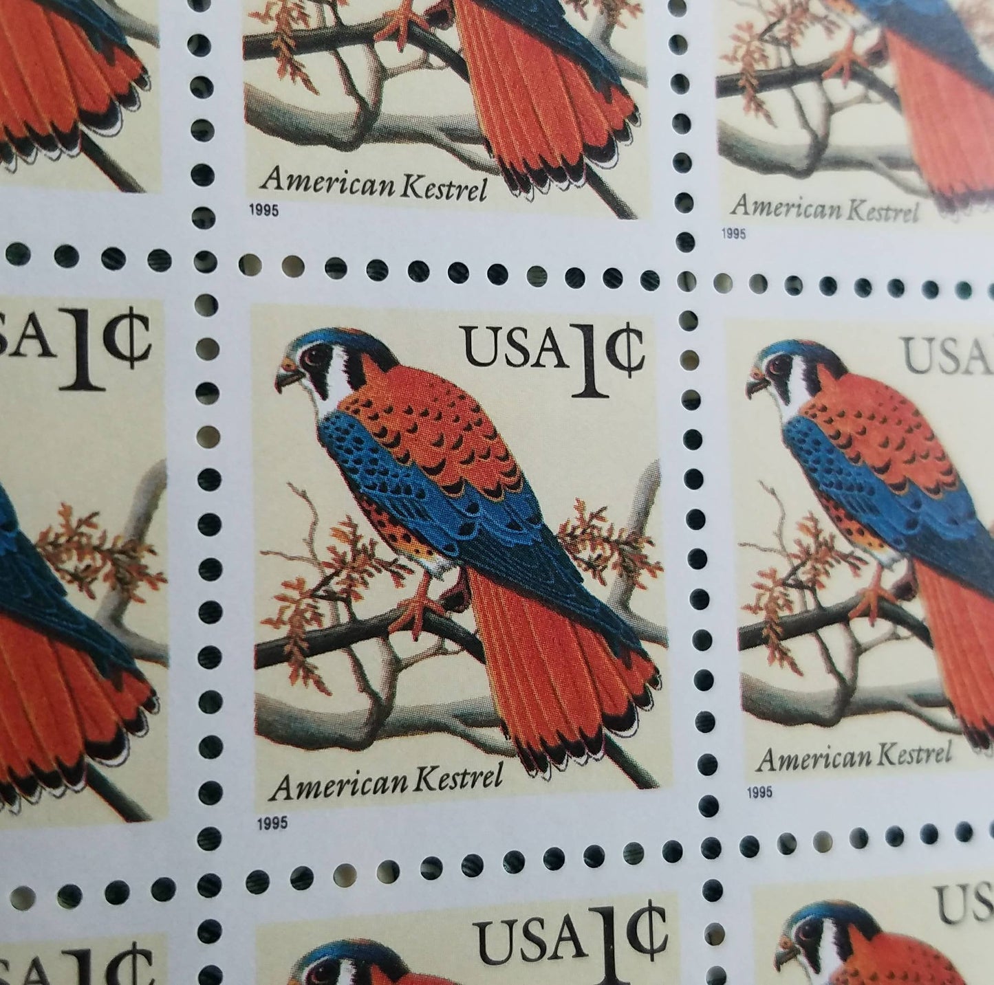 Five (5) vintage unused postage stamps - American kestrel // 1 cent // face value 0.05