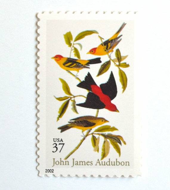 Five (5) unused postage stamps - John Jay Audubon // 37 cent stamps // Face value 1.85