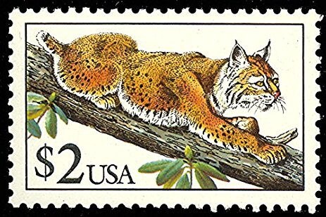 One (1) vintage unused postage stamp - Bobcat // 2 dollar stamp // Face 2.00