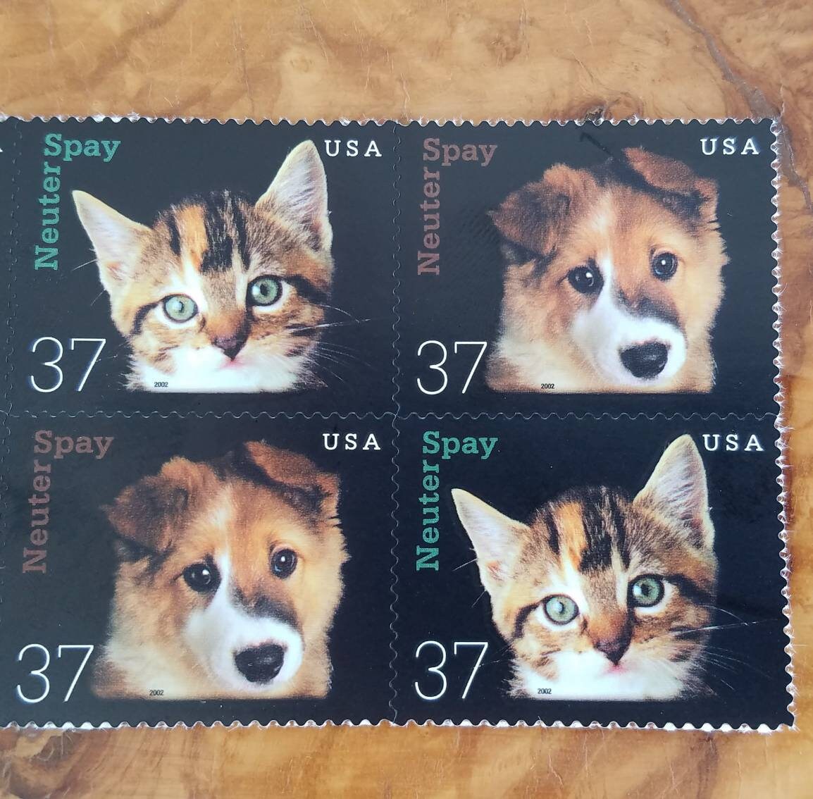 Four (4) unused US postage stamps - Kitten & puppy, spay neuter // 37 cent stamps // Face value 1.48