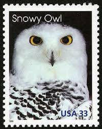 Five (5) unused postage stamps - Snowy owl // 33 cent stamps // Face value 1.65