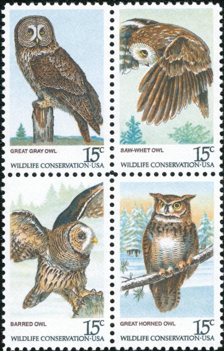 Four (4) vintage unused postage stamps - Owl stamps, wildlife conservation // 15 cent stamps // Face value 0.60