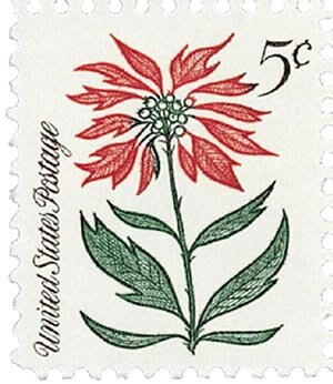 Five (5) vintage Christmas postage stamps - Christmas plants - Poinsettia // 5 cent stamps // Face value 0.25