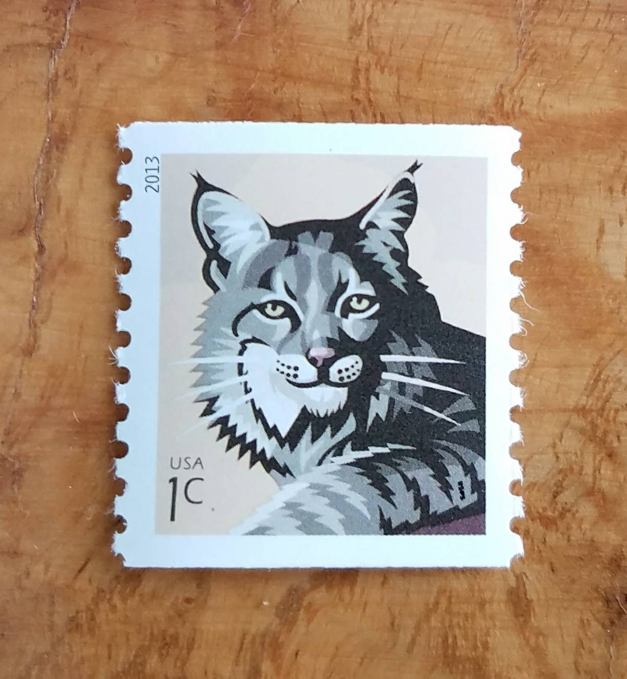 Five (5) unused postage stamps - Bobcat // 1 cent stamp // Face 0.05