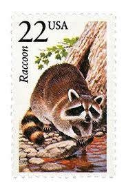 Five (5) vintage unused postage stamps - North American Wildlife, Raccoon // 22 cent stamps // Face value 1.10