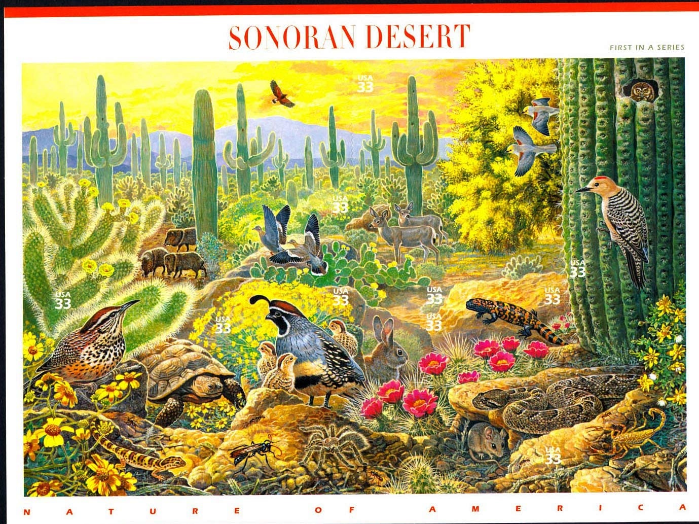 Ten (10) vintage postage stamps - Sonoran Desert (1st Nature of America sheet) // 33 cent stamps // Face value 3.30 dollars