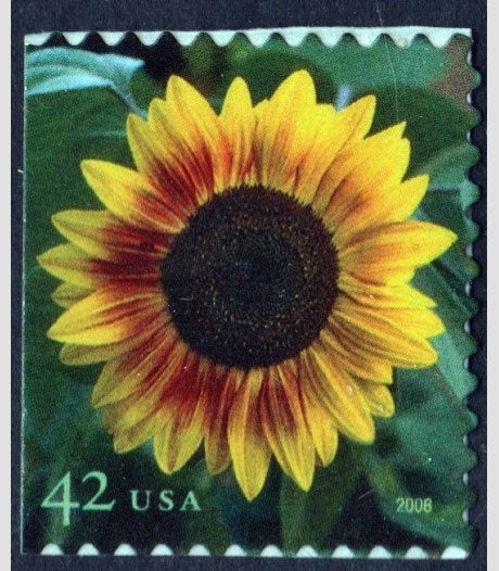 Five (5) unused postage stamps - Sunflower // 42 cent stamps // Face value 2.10