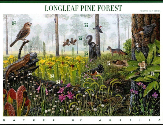 Ten (10) vintage postage stamps - Longleaf Pine Forest (4th Nature of America sheet) // 34 cent stamps // Face value 3.40 dollars