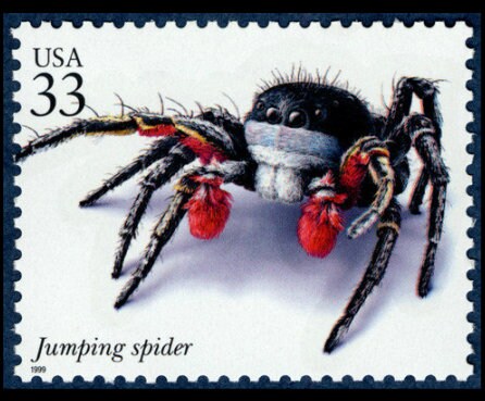 Five (5) unused postage stamps - Jumping spider // 33 cent stamps // Face value 1.65