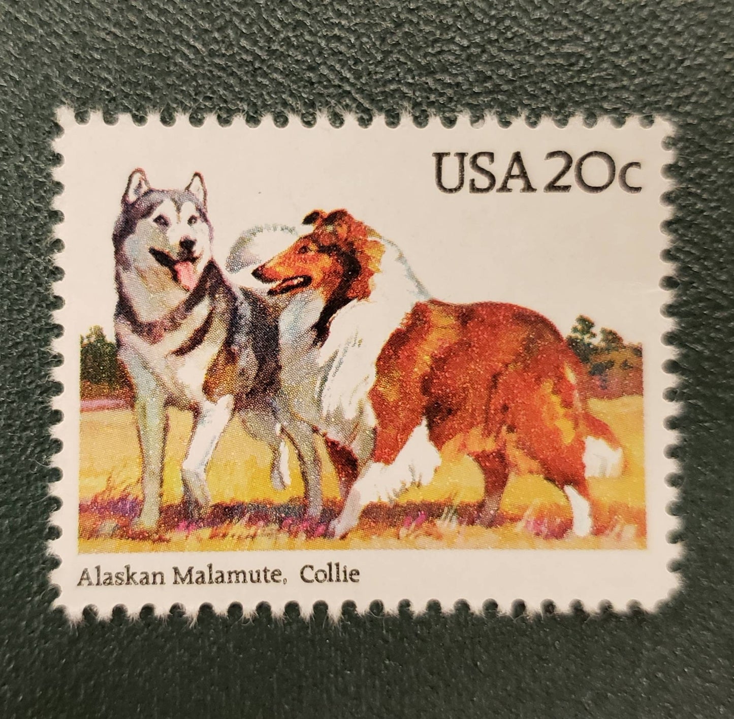 One (1) vintage unused postage stamps - Dogs: Alaskan Malamute, Collie // 20 cent stamps // Face value 1.00