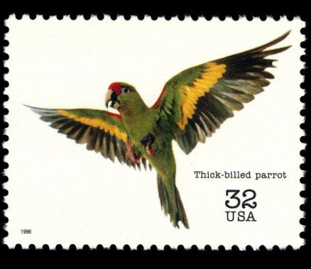 Five (5) vintage unused postage stamps - Thick-billed parrot (endangered species) // 32 cent stamps // Face value 1.60