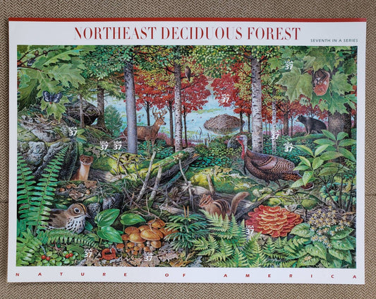 Ten (10) postage stamps - Northeast Deciduous Forest (7th Nature of America sheet) // 37 cent stamps // Face value 3.70 dollars