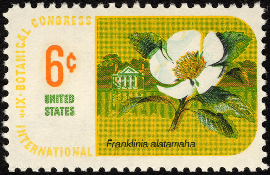 Five (5) vintage unused postage stamps - Botanical congress 1969 - Franklinia alatamaha // 6 cent stamps // Face value 0.30